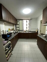 Avon Park (D13), Condominium #498546541